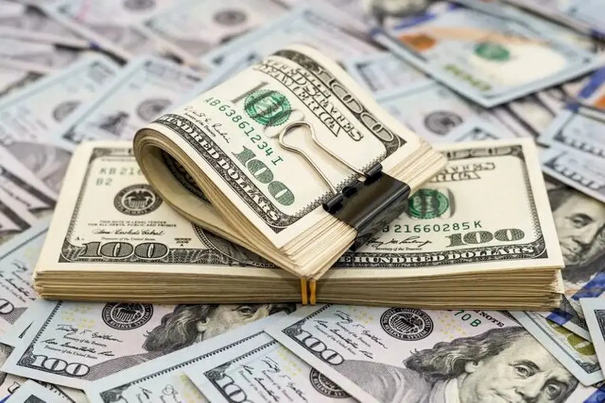 کیف‌های تماشایی پر از دلار و یورو در دادگاه شهردار لواسان/ عکس - خبرآنلاین