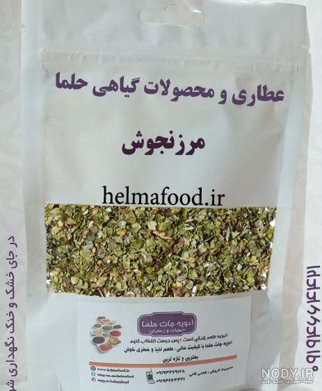 گیاه مرزنجوش گیاه مرزنجوش