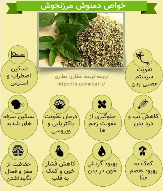 گیاه مرزنجوش چیست؟ 14 خواص مرزنجوش در طب سنتی گیاه مرزنجوش چیست؟ 14 خواص مرزنجوش در طب سنتی