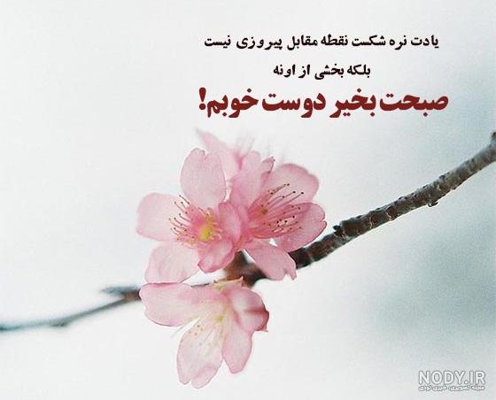 عکس صبح بخیر دوست من عکس صبح بخیر دوست من