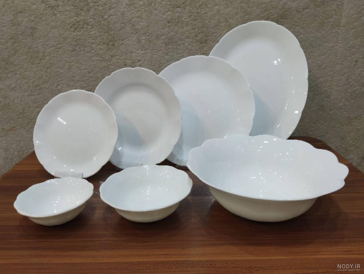 آرکوپال درختی مربع لب طلایی