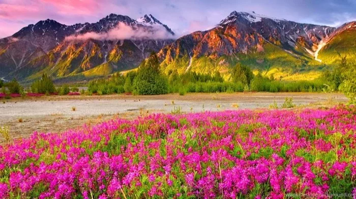 آلبوم زیباترین عکس های منظره برای پروفایل (2) - تــــــــوپ تـــــــــاپ آلبوم زیباترین عکس های منظره برای پروفایل (2) - تــــــــوپ تـــــــــاپ