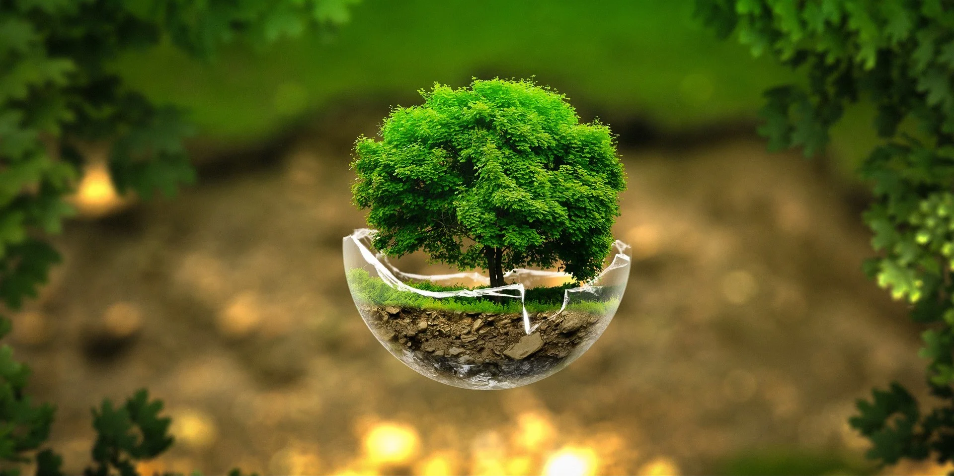 تصاویر زیبای پاییز در سراسر جهان