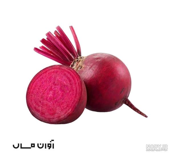 دانلود رایگان وکتور لبو