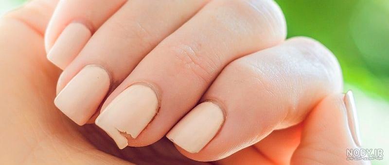 صفر تا صد کاشت ناخن پودری، ژلیش، فیبری، دیپینگ | مجله سفیر صفر تا صد کاشت ناخن پودری، ژلیش، فیبری، دیپینگ | مجله سفیر