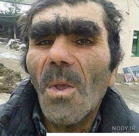 عکس خر و الاغ + عکس خرهای خنده دار عکس خر و الاغ + عکس خرهای خنده دار