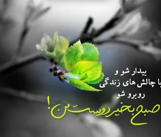 عکس صبح بخیر امام حسین - عکس نودی