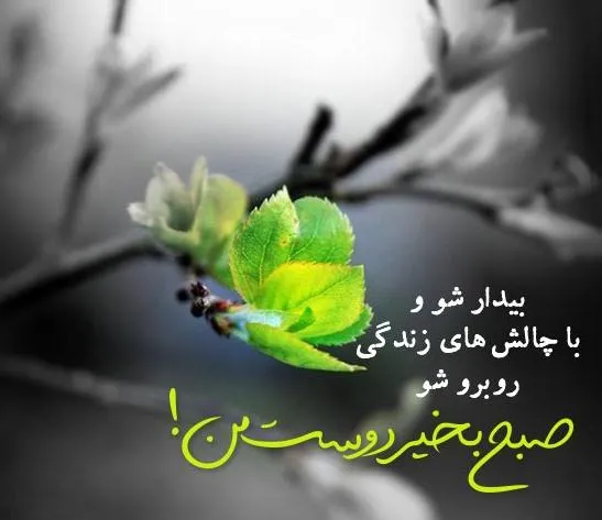 عکس صبح بخیر یا حسین - عکس نودی عکس صبح بخیر یا حسین - عکس نودی
