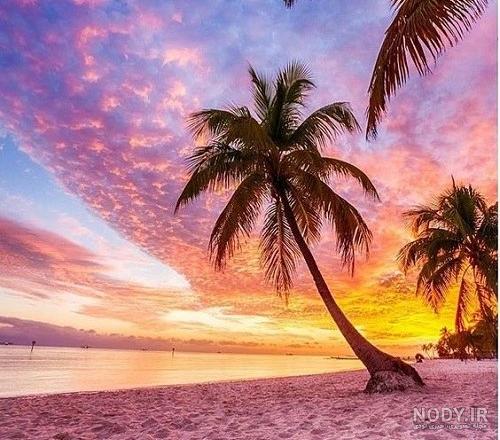 منظره زیبا ؛ ۳۳ عکس فوق العاده و چشم نواز از طبیعت - ستاره منظره زیبا ؛ ۳۳ عکس فوق العاده و چشم نواز از طبیعت - ستاره
