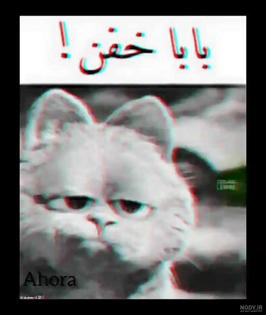 عکس خفن عکس گارفیلد برای پس زمینه