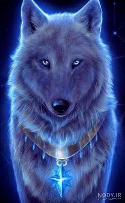 عکس بچه گربه واقعی