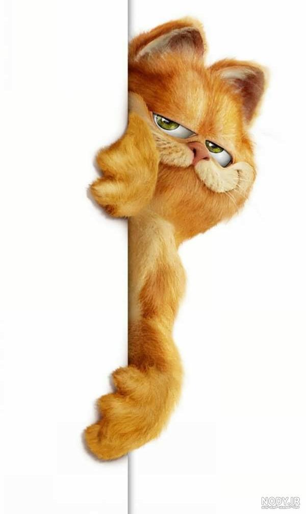 عکس گارفیلد با لازانیا