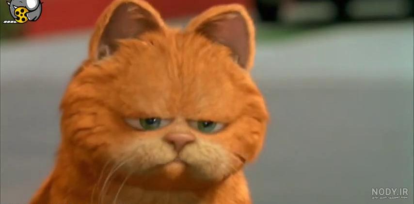 عکس گارفیلد با لازانیا