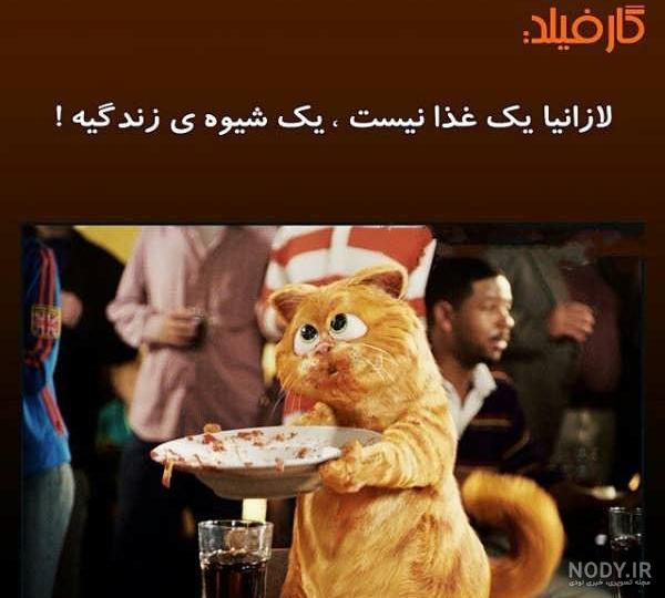عکس خفن عکس گارفیلد برای پس زمینه