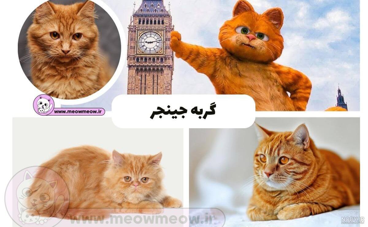 عکس خفن عکس گارفیلد و اودی
