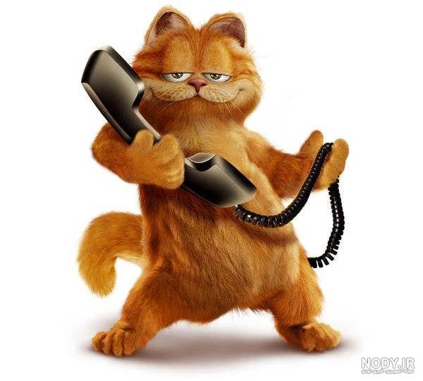 عکس خفن عکس گارفیلد و اودی