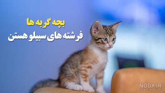 32 عکس از لاتی سیاه سفید نمایی از زندگی بدون مرز 32 عکس از لاتی سیاه سفید نمایی از زندگی بدون مرز