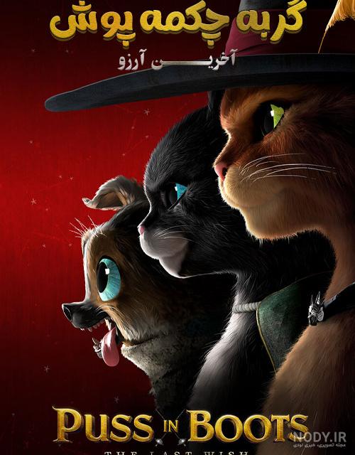 33 عکس از گربه شرک مظلوم در لحظات بامزه 33 عکس از گربه شرک مظلوم در لحظات بامزه