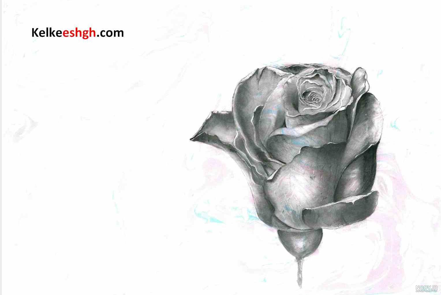Mp4.ir | چگونه یک گل رز بکشیم ؟