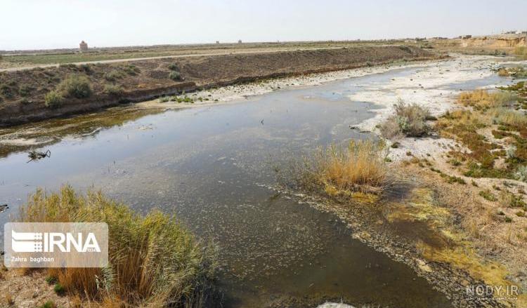 تالاب گاوخونی جانی دوباره گرفت+ عکس تالاب گاوخونی جانی دوباره گرفت+ عکس