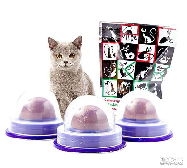 آبنبات تشویقی گربه بدون پایه با طعم نعنا Cat Mint Ball وزن 100 گرم | پت شاپ  آنلاین پت آباد