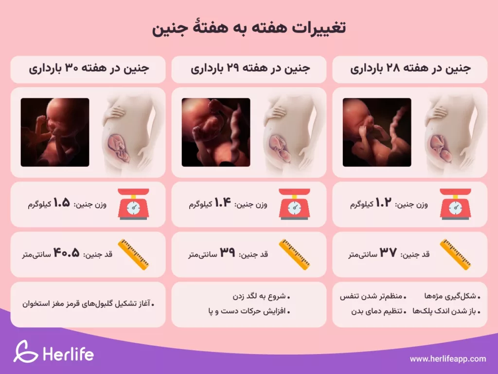 آشنایی با اولین علائم بارداری آشنایی با اولین علائم بارداری