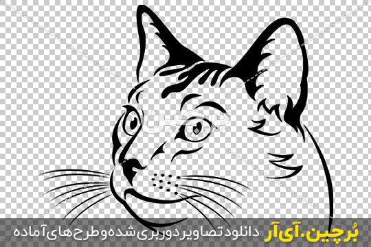 آموزش نقاشی گربه – نقاشیار آموزش نقاشی گربه – نقاشیار