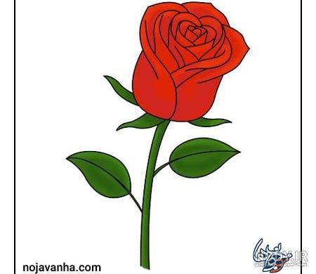 آموزش نقاشی گل رز قرمز همراه با کاربرگ رنگ آمیزی-مام پلاس