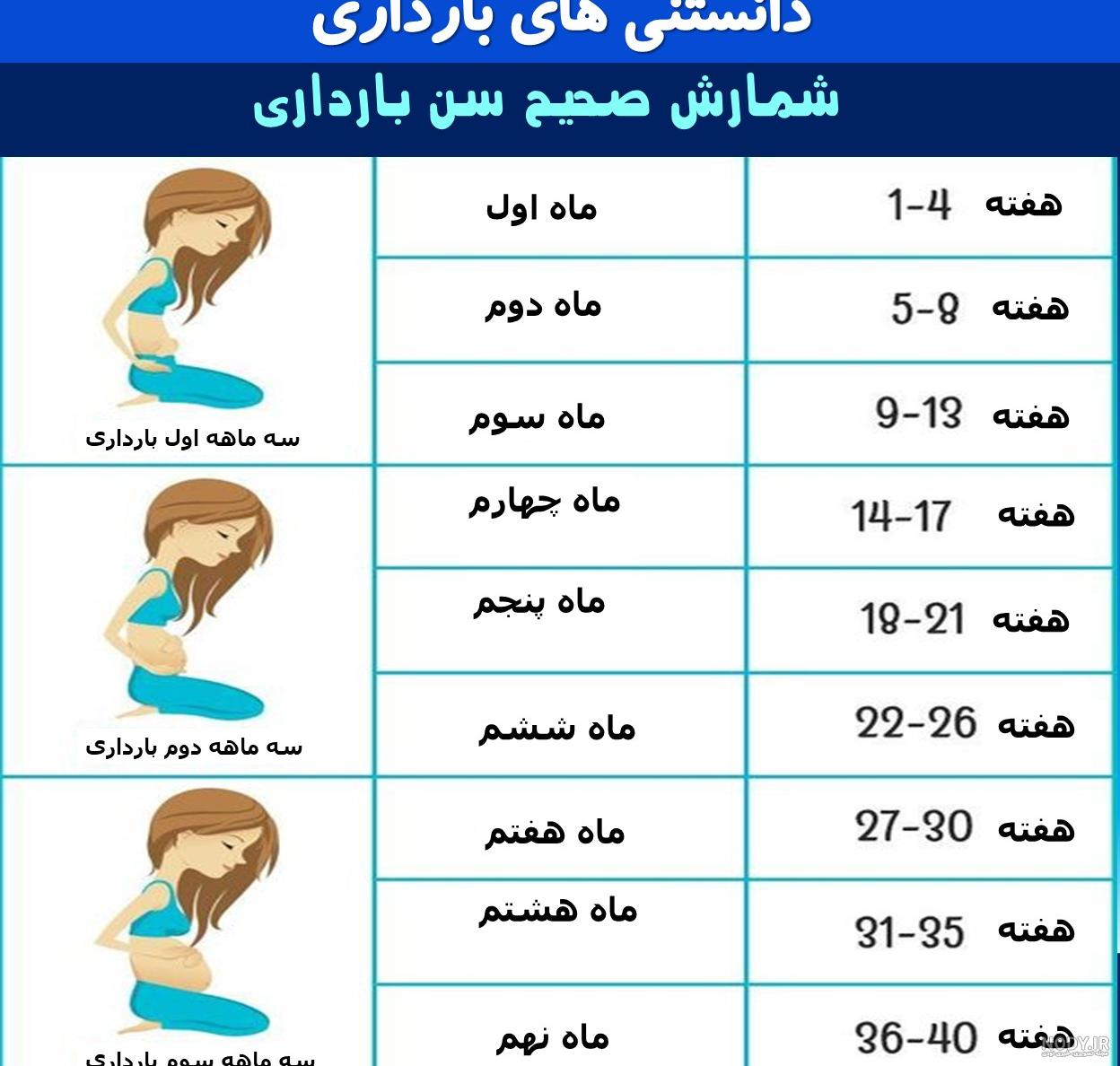 اندازه شکم در بارداری از ماه اول تا نه ماهگی با عکس کامل + جدول اندازه شکم در بارداری از ماه اول تا نه ماهگی با عکس کامل + جدول