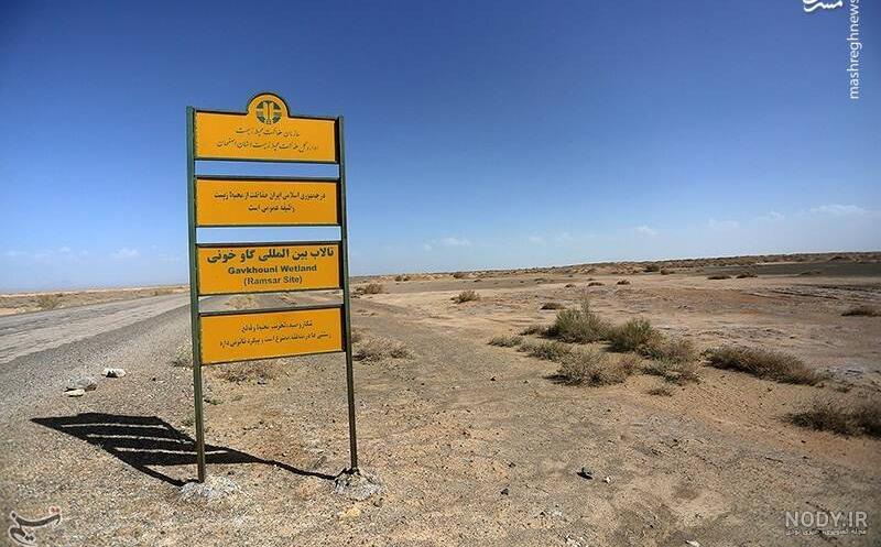 ایمنا - نفس‌های آخر تالاب گاوخونی