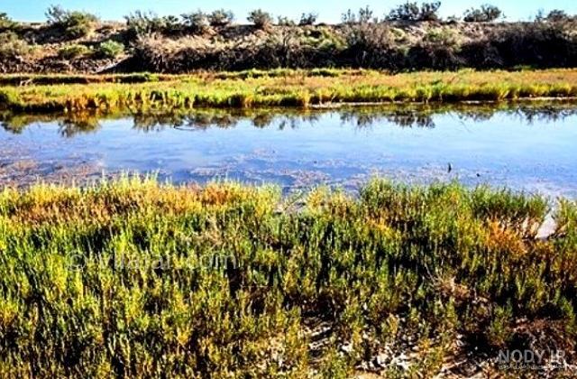 تصاویر: خشکی تالاب گاو خونی منشأ ریز گرد‌ها و آلودگی هوا‌ی استان اصفهان |  سایت انتخاب