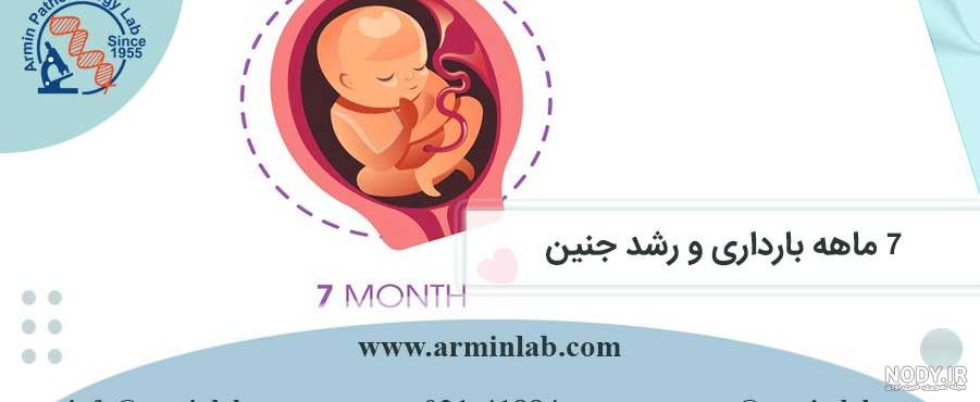 جنین در ماه دوم چه شکلی است (ماه حساس و بحرانی برای جنین)