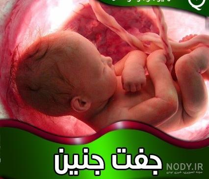 جنین پنج ماهه چقدر وزن دارد؟ ماه پنجم بارداری و مراقبتهای آن جنین پنج ماهه چقدر وزن دارد؟ ماه پنجم بارداری و مراقبتهای آن