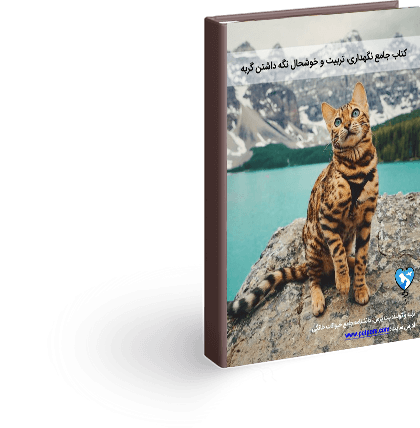 خوش عکس‌ترین گربه دنیا با پوستی شبیه به پلنگ+ تصاویر