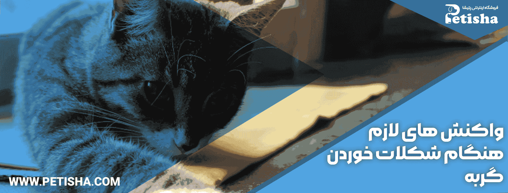 دانلود بازی Talking Tom Candy Run برای اندروید | مایکت دانلود بازی Talking Tom Candy Run برای اندروید | مایکت