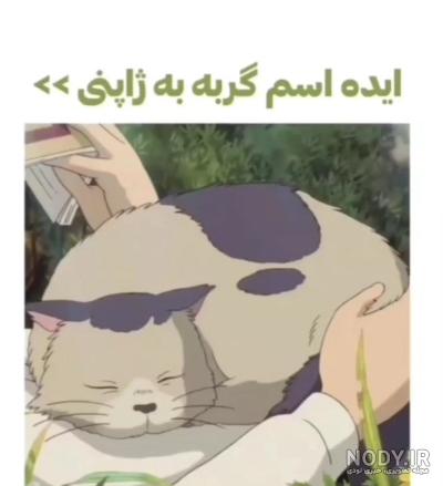 درآمدزایی صنعت توریسم ژاپن از گربه ها درآمدزایی صنعت توریسم ژاپن از گربه ها