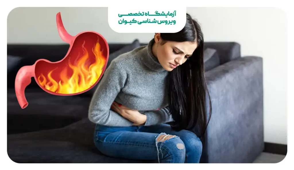 شکل جنین در ماه اول بارداری چگونه است؟ بهمراه فیلم - بهترین کودک شکل جنین در ماه اول بارداری چگونه است؟ بهمراه فیلم - بهترین کودک