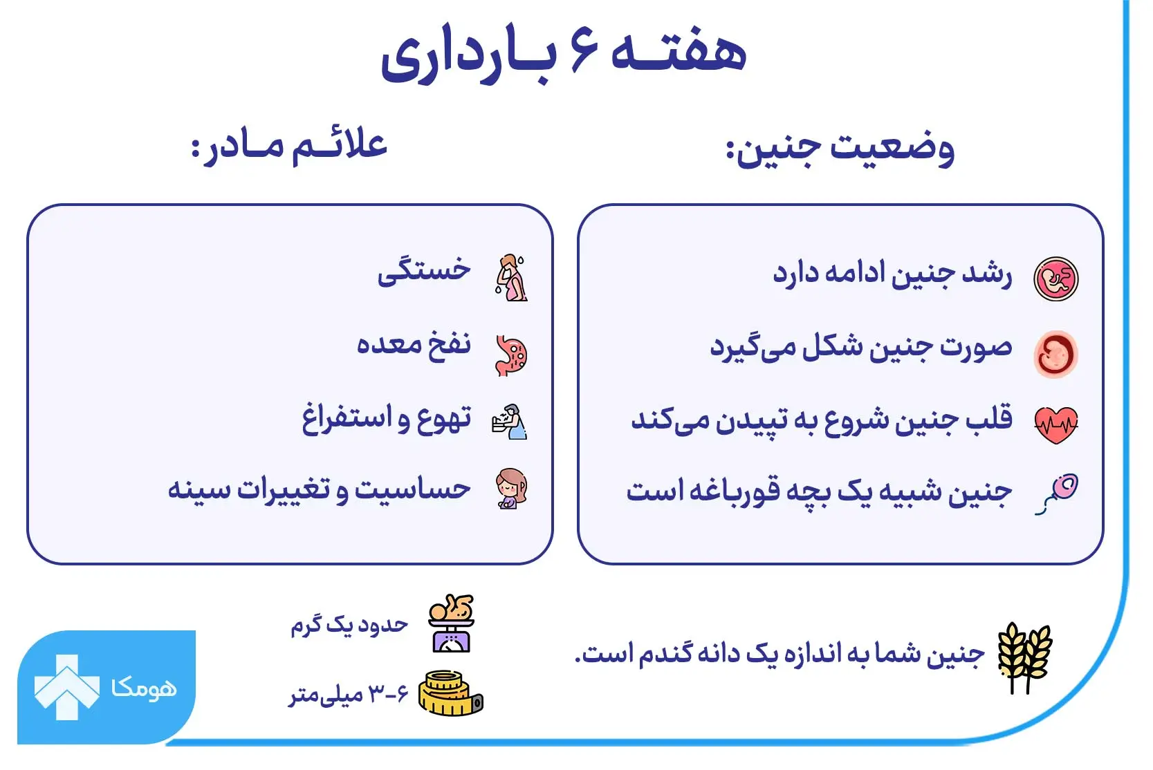 عکس بارداری ماه به ماه - عکس نودی عکس بارداری ماه به ماه - عکس نودی