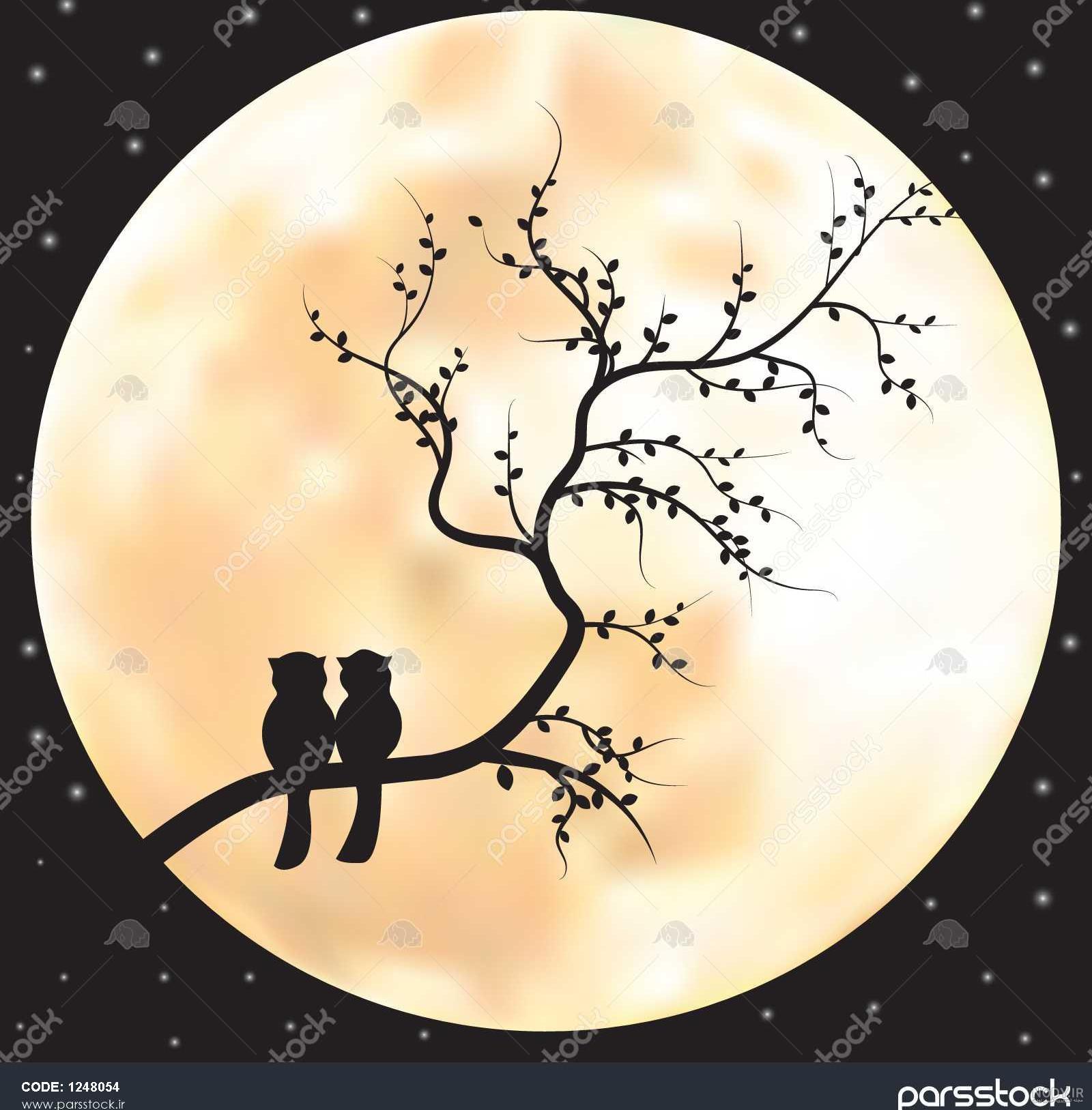 عکس بک گراند شب ❤️ [ بهترین تصاویر ]