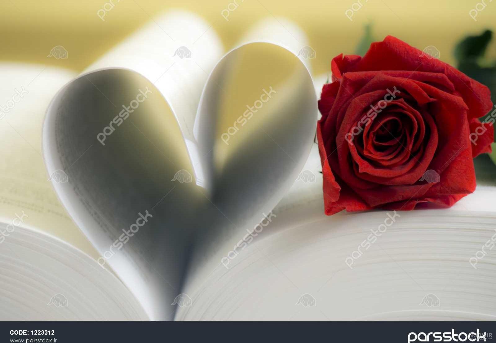 عکس های جالب و فانتزی کتاب و کتاب خواندن برای پروفایل
