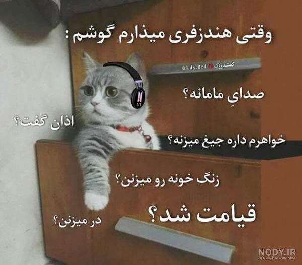 عکس خنده دار گربه با متن ❤️ [ بهترین تصاویر ]