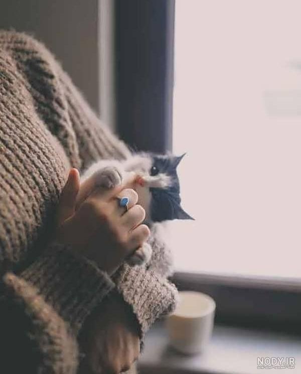 عکس دختر گربه ای کیوت