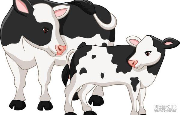 عکس دوربری بچه گاو - png بچه گاو - سنتر گراف