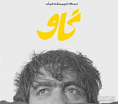 عکس های فیلم گاو