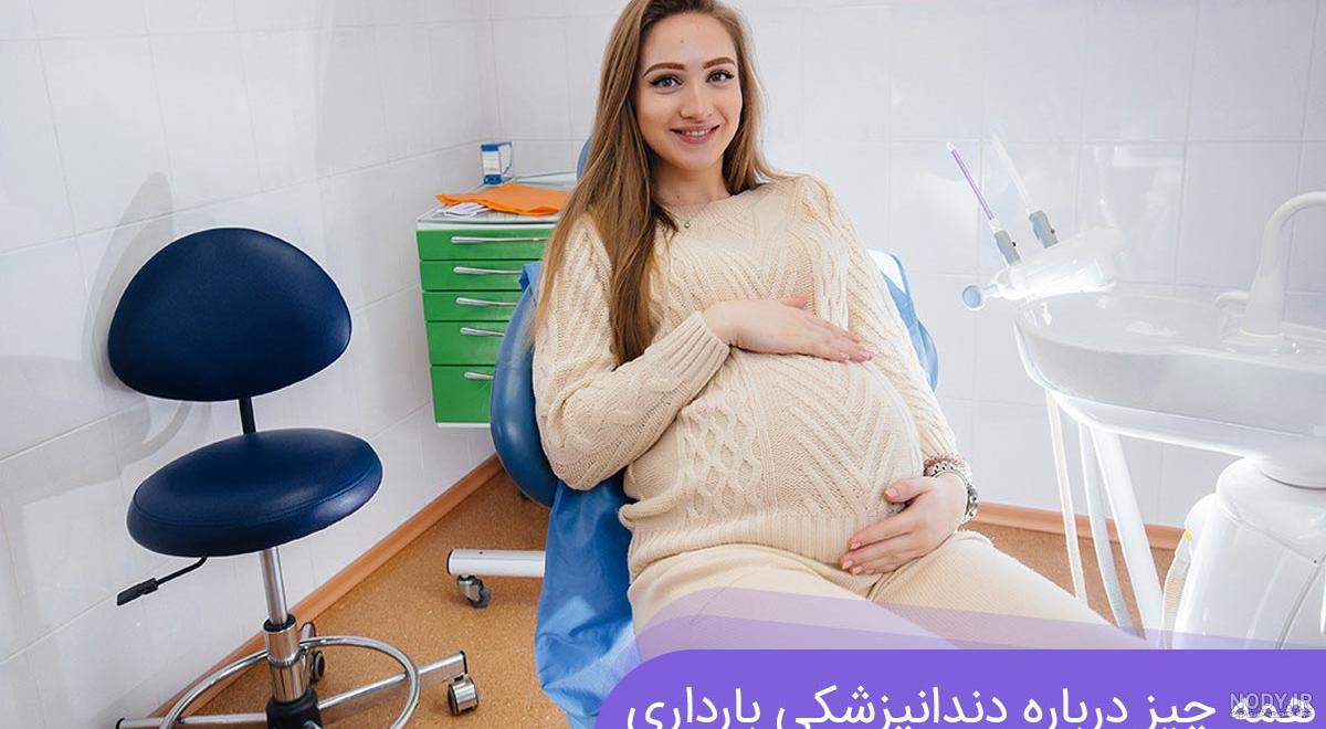 عکس ماه های حاملگی