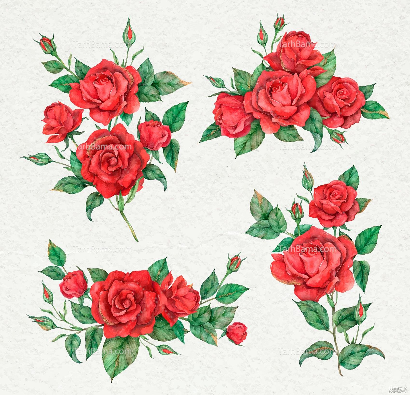 عکس نقاشی گل رز خیلی ساده