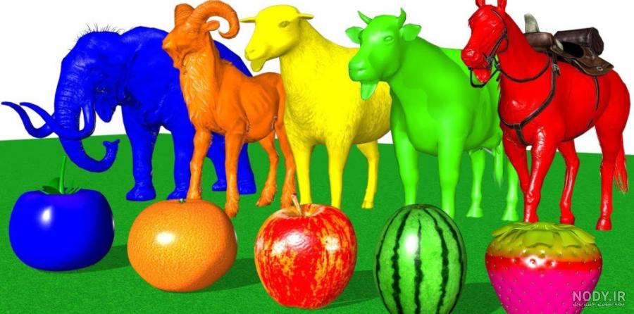 عکس نوزاد گاو - عکس نودی عکس نوزاد گاو - عکس نودی