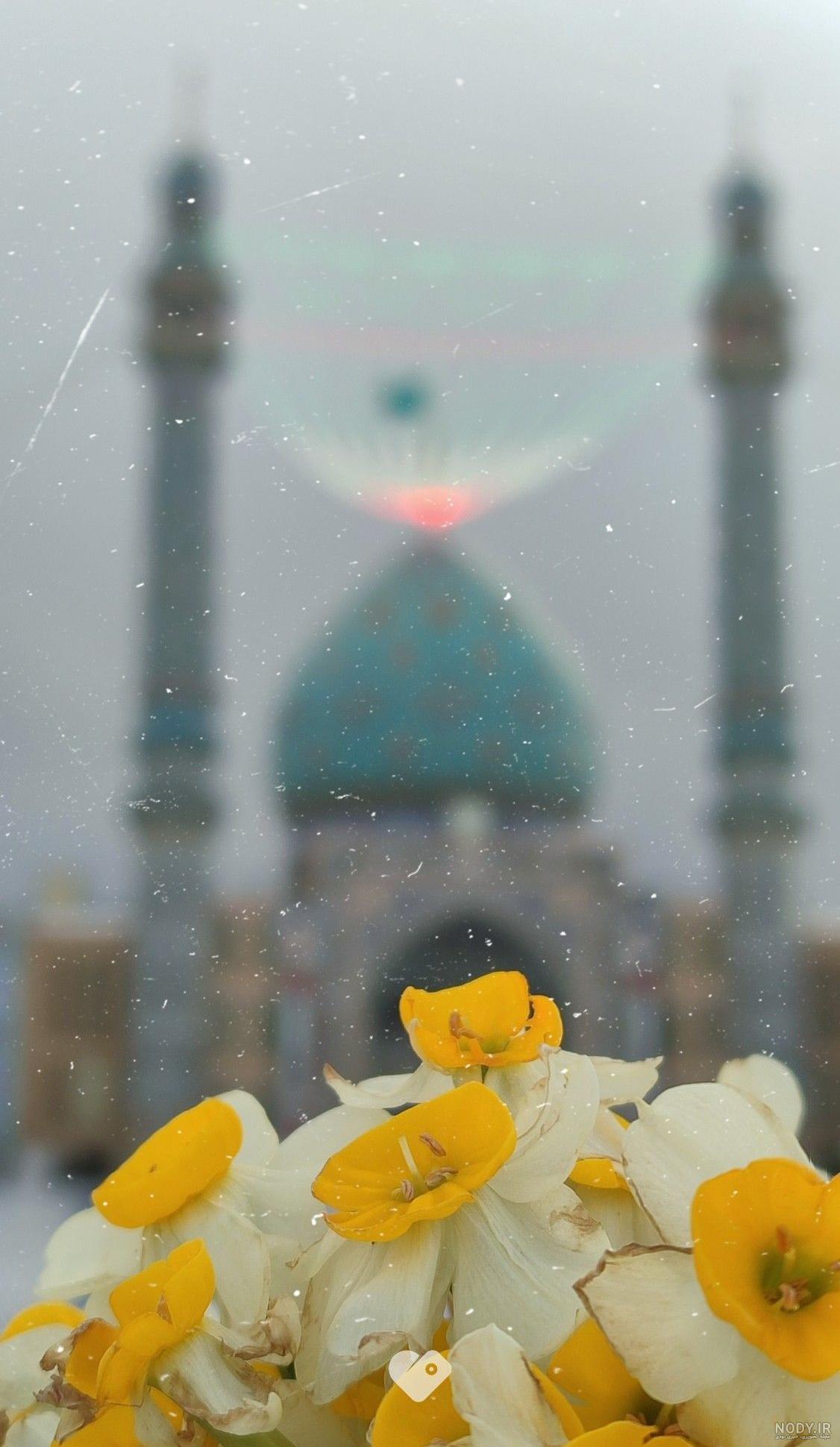عکس هنری از گل نرگس
