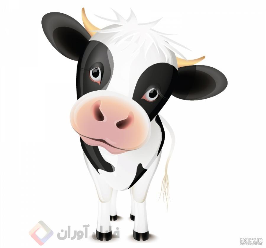 عکس گاو برای بچه