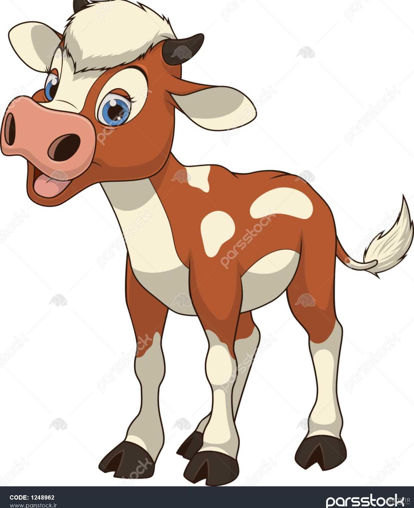 عکس گاو بچه گانه